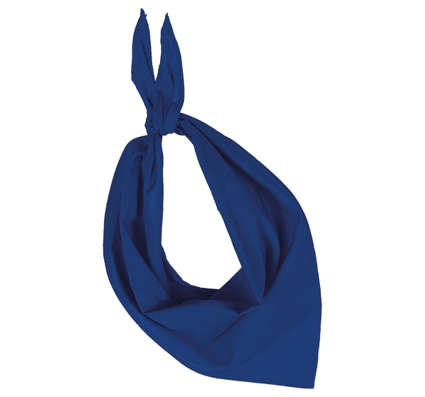 Light Royal Blue