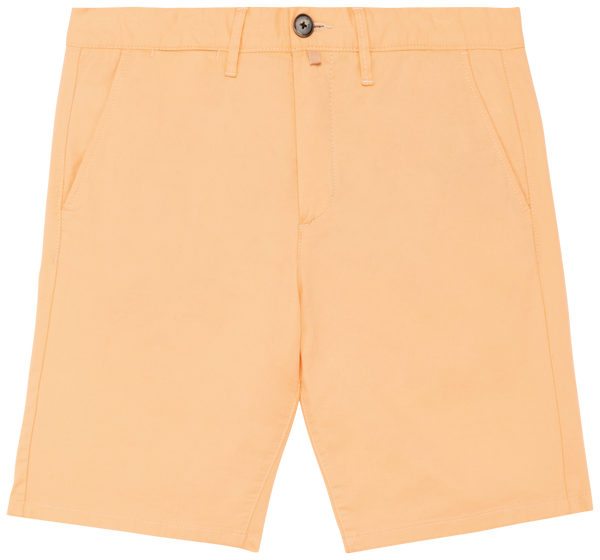 Pastel Apricot