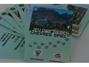 Jeu de carte ducatif impression personnalis