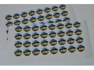 Autollant avec vernis anti-rayure Mairie Novel