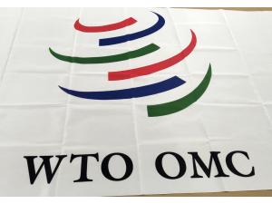 Drapeau sur mesure de 180x90 cm pour Mission permanente de la Malaisie aupr�s de l�OMC � Gen�ve