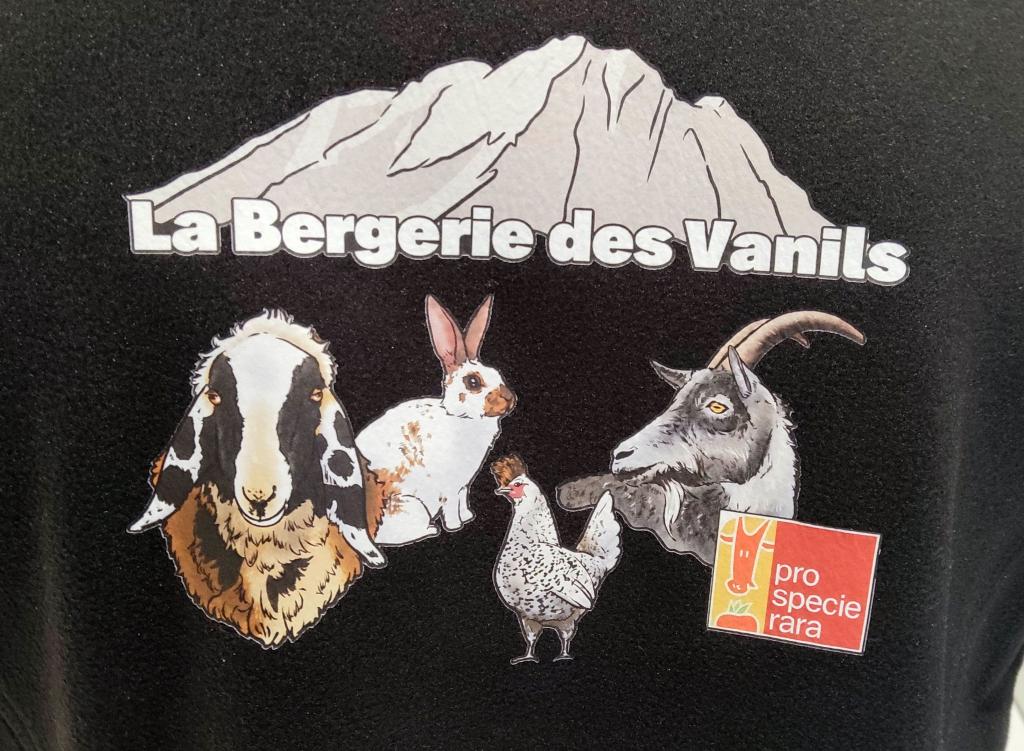 Veste sans manche - Sept 2026