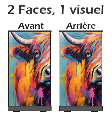 Visuel : Mme visuel des deux cots