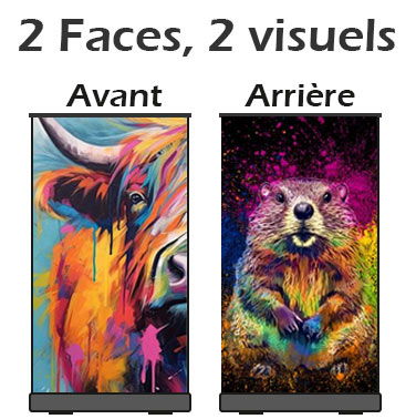 Visuel : Visuels diffrents des deux cots
