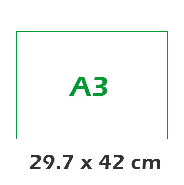 Format : A3 (29,7 x 42 cm)